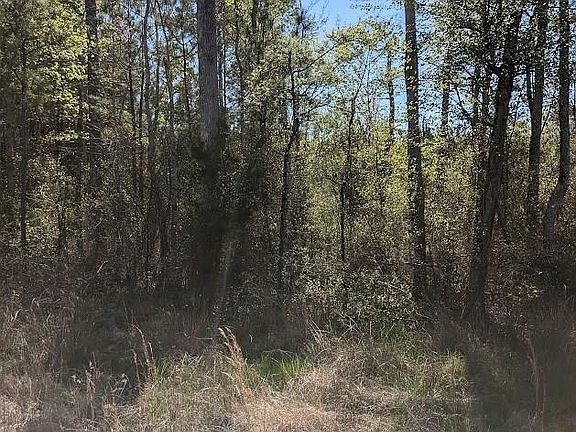2nd image of 0 Rose Dr