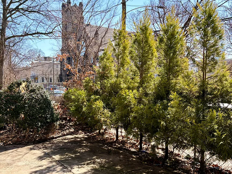 3511 Baring St #3C — Photo 13