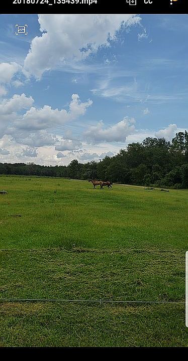 Horses in pasture area