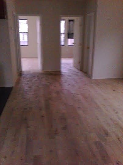 1st image of 729 E 229th St APT 1