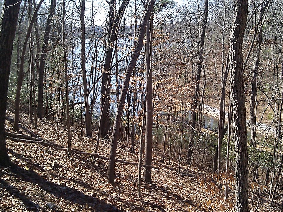 View from Corp. Line