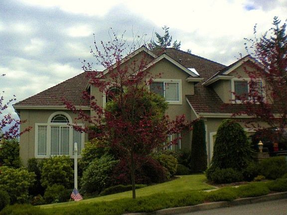 Front yard landscaping