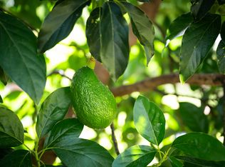 28-3059 Beach Rd, Pepeekeo, HI 96783