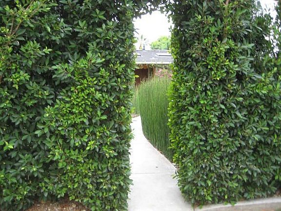 Entrance to the property