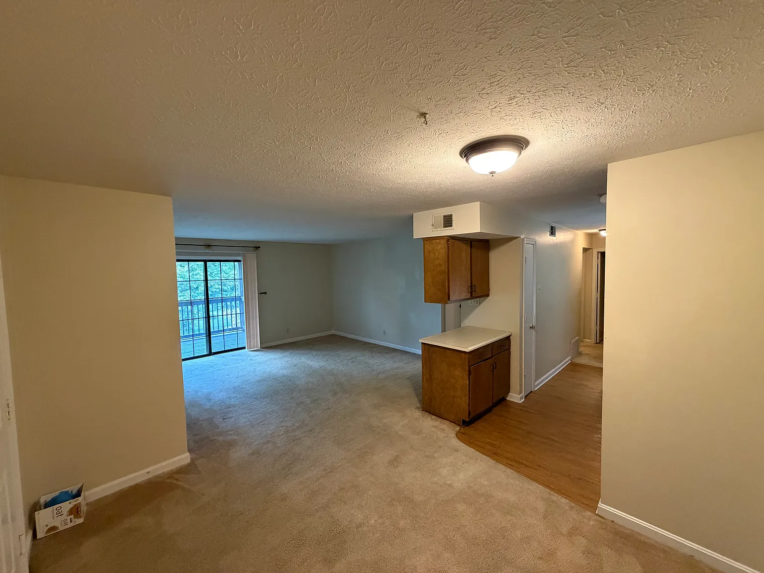 2 bed, 1150 sqft, $1,250 — Photo 3