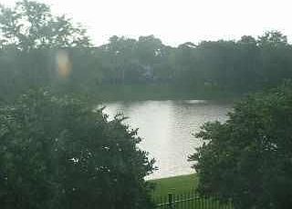 real view to a lake