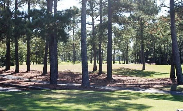 349 Ridge Point Dr — Photo 15