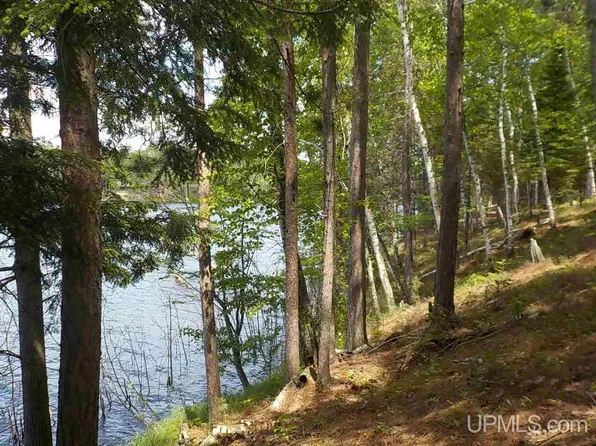 182AC Long Lake Rd, Crystal Falls, MI 49920