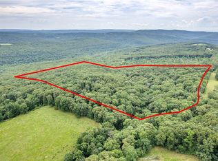 Lucky Rd, Winslow, AR 72959