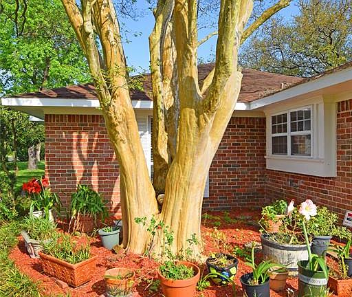 5th image of 227 Seagrove Ave