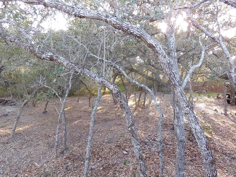 1228 Lone Star Rd — Photo 11