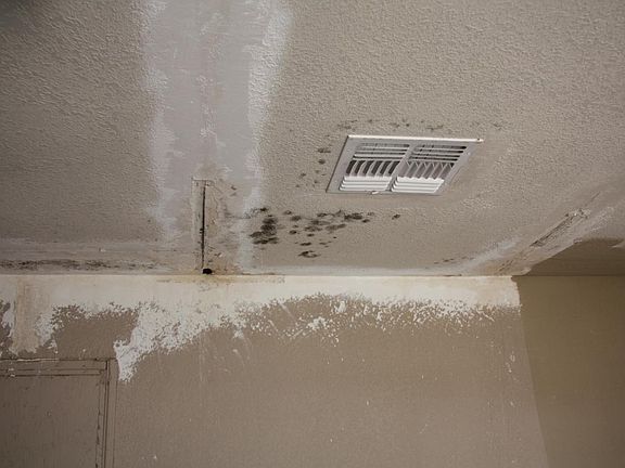 5th image of 2928 W SOLANO Drive