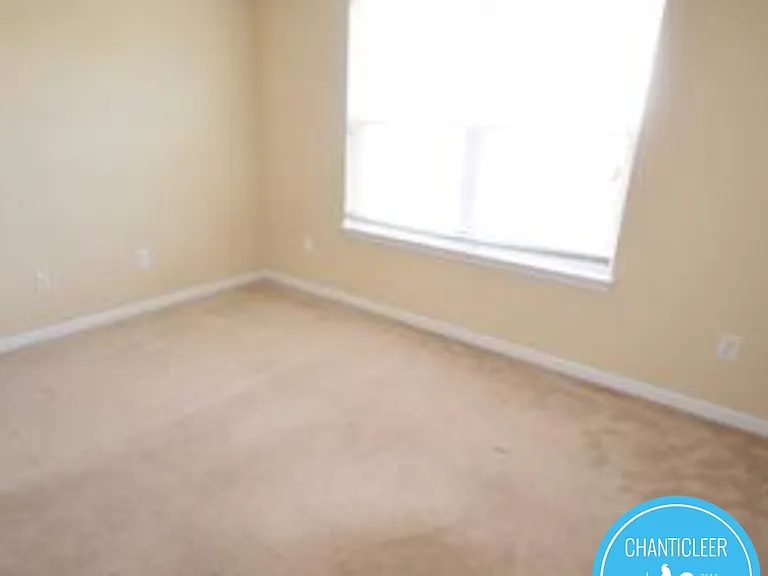 105 Chandler Springs Dr #1 — Photo 16