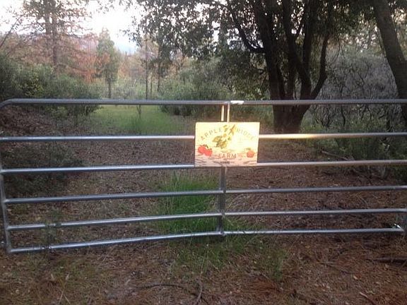 3rd image of 38541 Peterson Rd