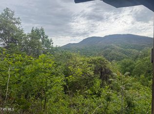 174 Doty Rd, Roan Mountain, TN 37687