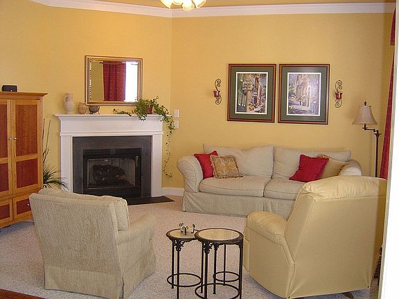 Fireplace in Living Room