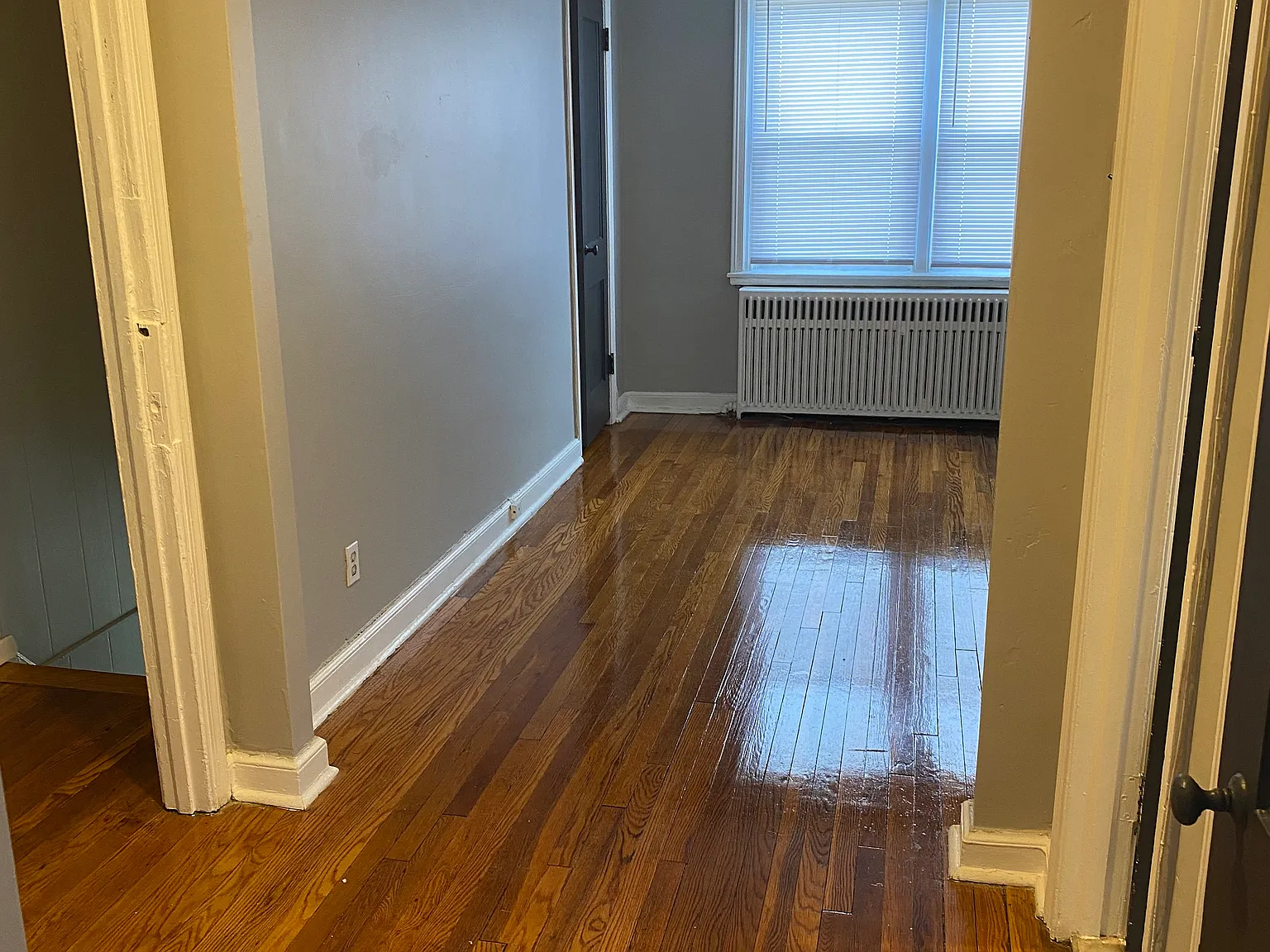 1 bed, $995 — Photo 4