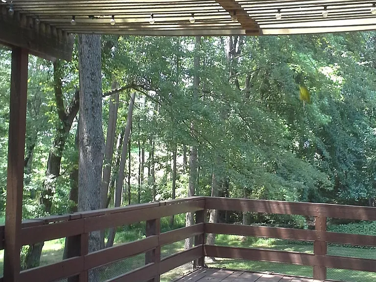 3819 Fort Hill Dr — Photo 58