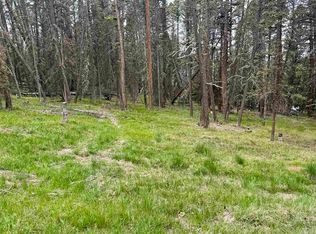 1301 Spruce Rd, Cimarron, CO 81220