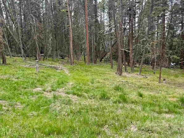 1301 Spruce Road, Cimarron, CO 81220