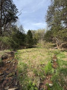 0 Cantwell Valley Rd, Sneedville, TN, 37869