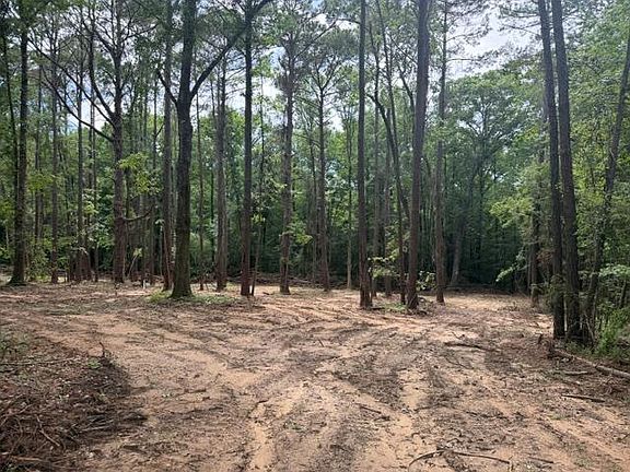 2nd image of 3466 County Road 203