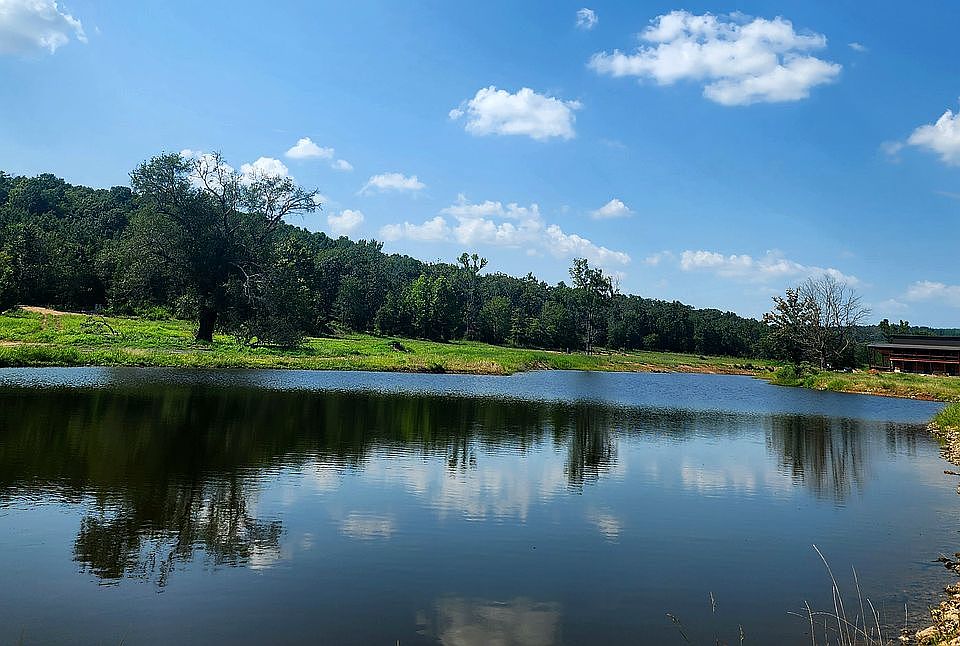 Gorgeous scenery + wildlife 