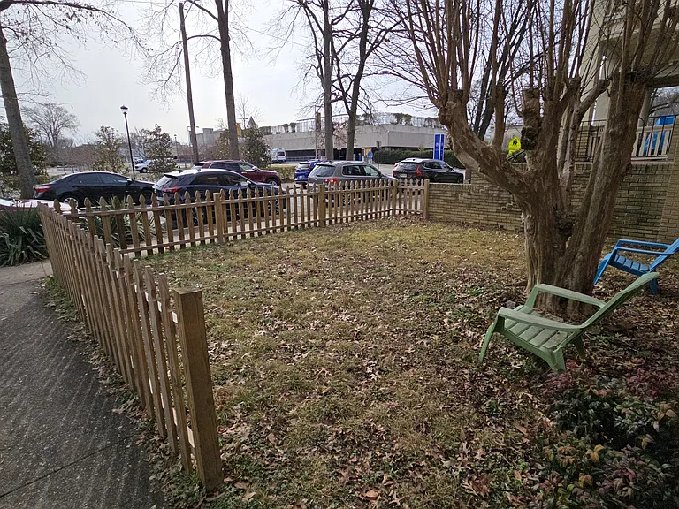 Front yard