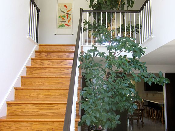 2nd image of 86 Southwind Trl