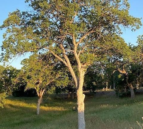 4th image of 0 Cardinal Ln Lot 132