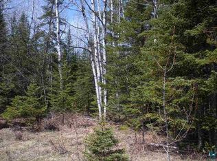 E Orienta Falls Rd, Pt Wing, WI 54865