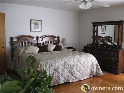 Master Bedroom with lots of natural lightt