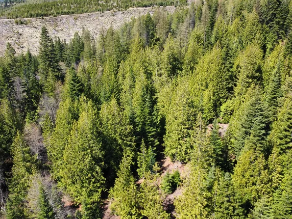 Nka Alder Crk, Saint Maries, ID 83861