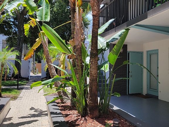 2nd image of 450 14th Ave N APT 4