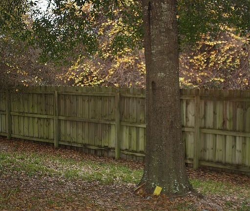 private  backyard
