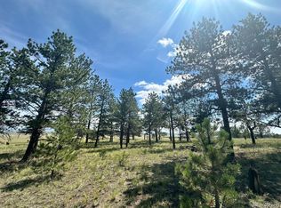 2743 Wagon Wheel Rd, Hartsel, CO 80449