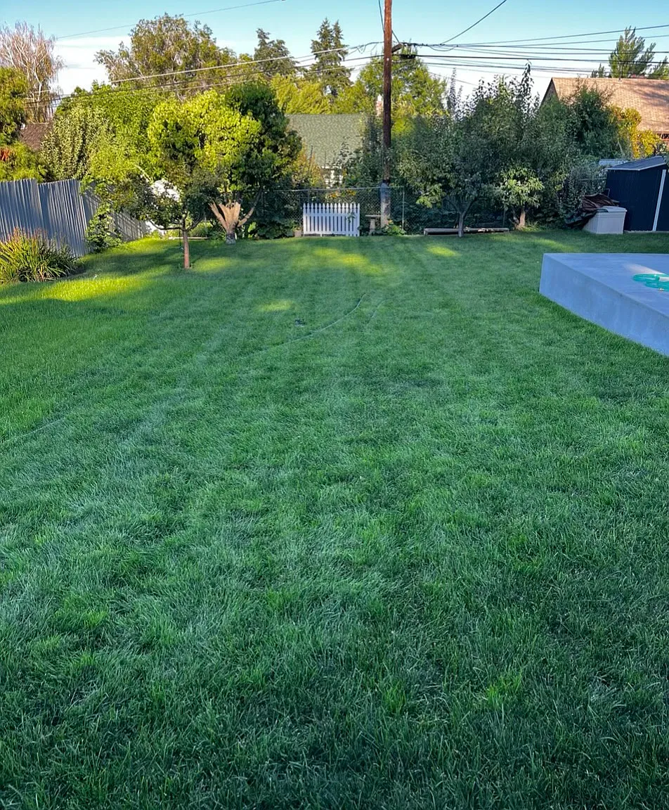 3 bed, 1628 sqft, $2,300 — Photo 3