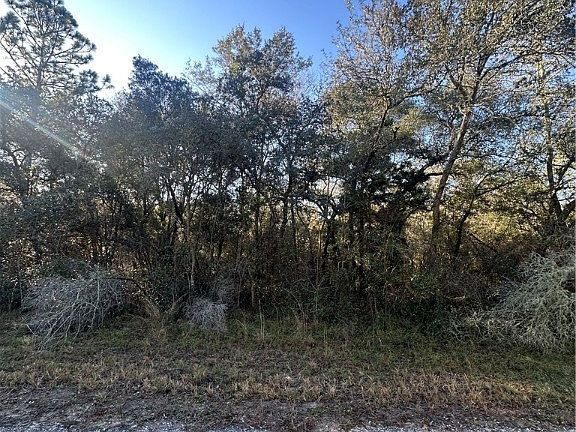 5th image of 3908 W Tropic Ln