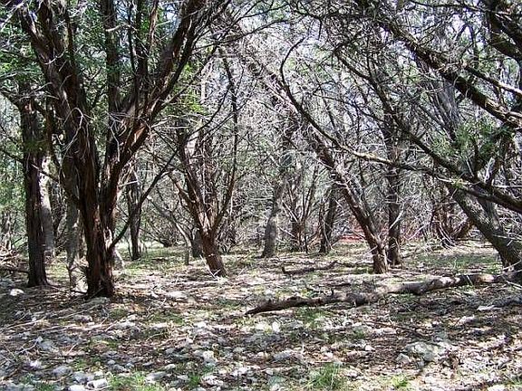 Interior of Lot