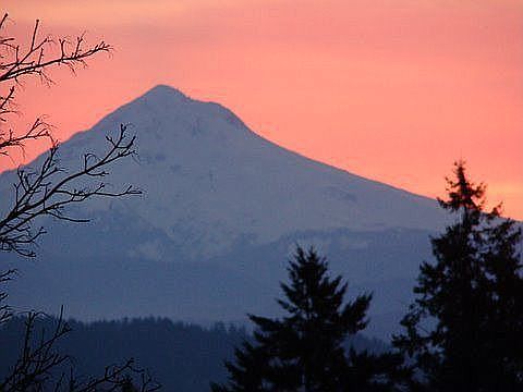 MT. Hood Views