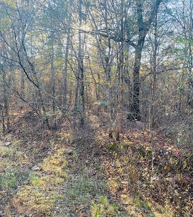 1st image of Black Gum Ln