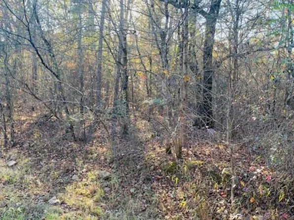 Black Gum Ln, Mena, AR 71953