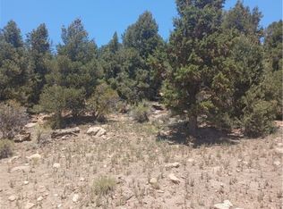 0 Pioneertown Rd, Big Bear City, CA 92314