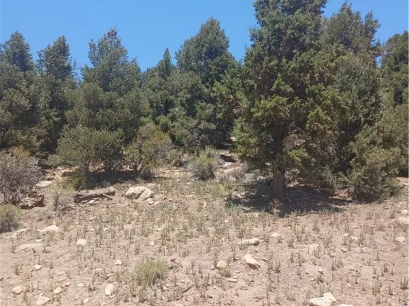 0 Pioneertown Rd, Big Bear City, CA 92314