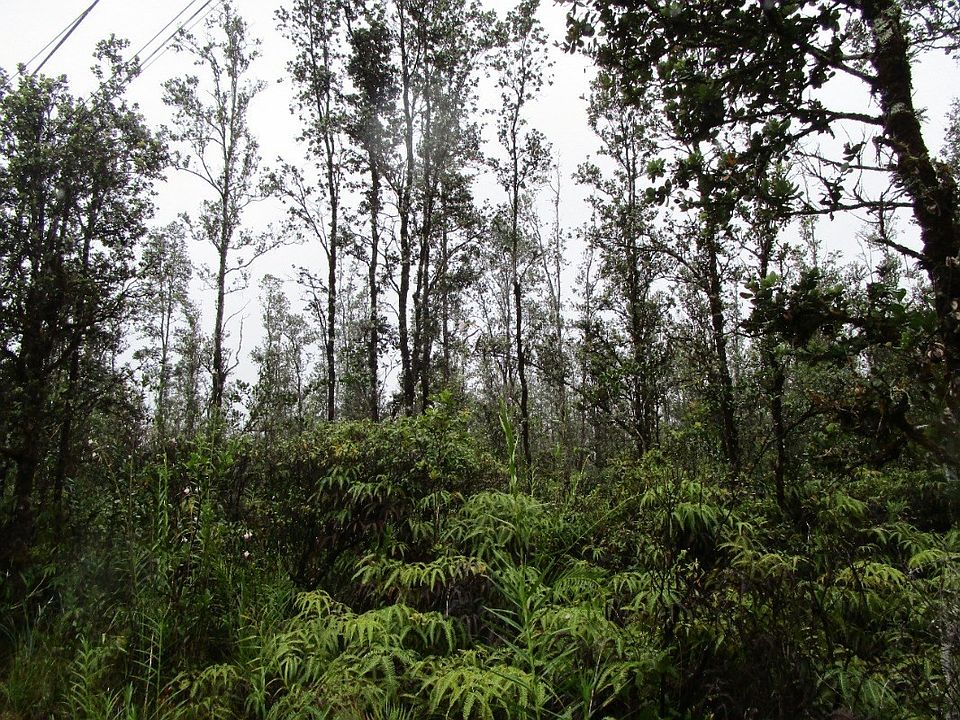 2nd image of Ao Road Rd #2-lot 2666