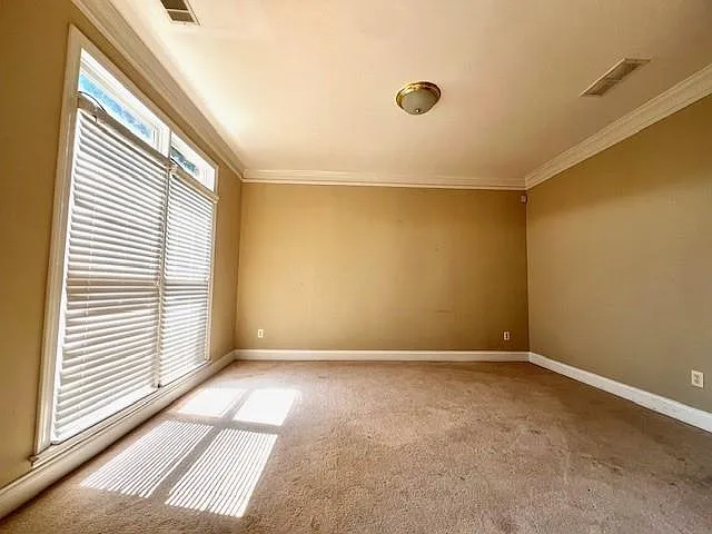 1800 Lee Patrick Dr — Photo 4