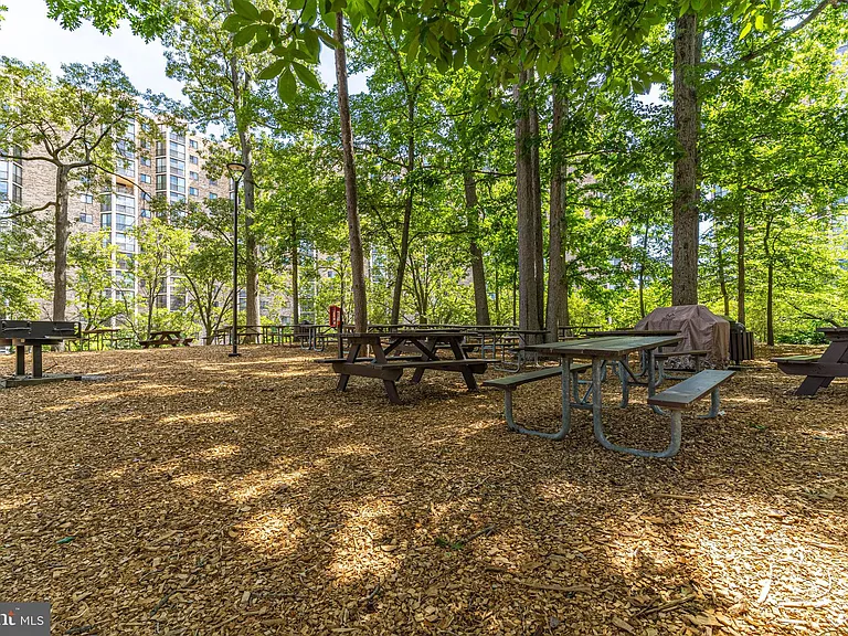 5904 Mount Eagle Dr #903 — Photo 33