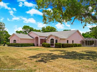 13166 Angler St, Spring Hill, FL 34609