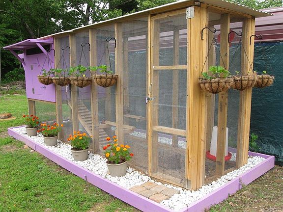 Chicken coop