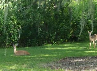 31631 Mount Plymouth Loop, Sorrento, FL 32776